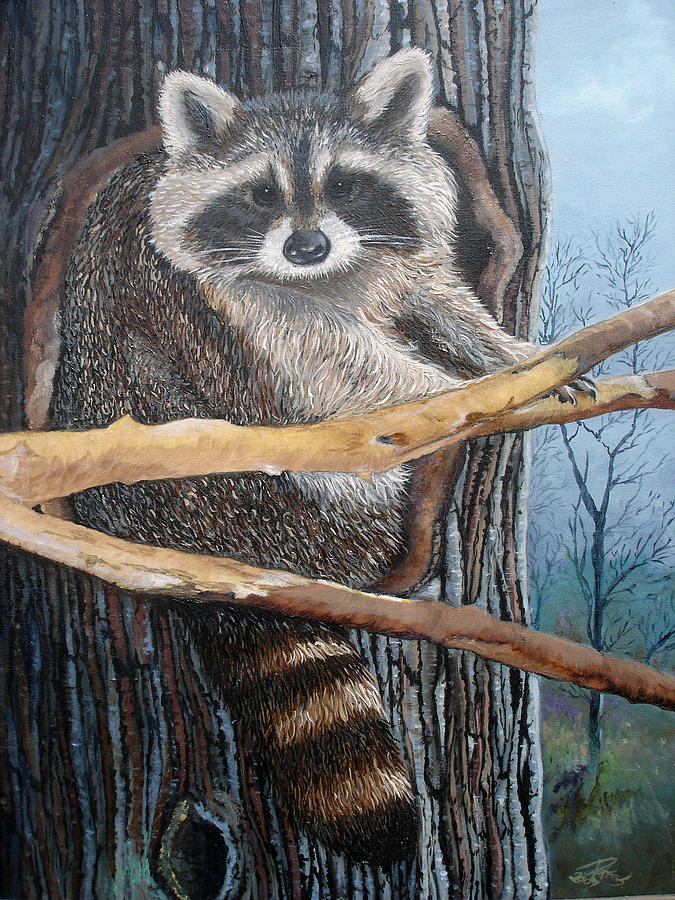 Racoon In Tree Painting by Petra Stephens