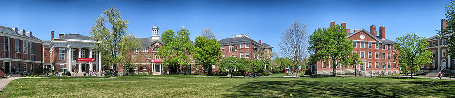 Harvard University Photograph - Radcliffe Yard Harvard by Georgia Clare