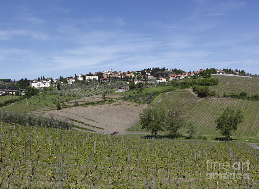 Landscape Photograph - Radda in Chianti by Chris Selby