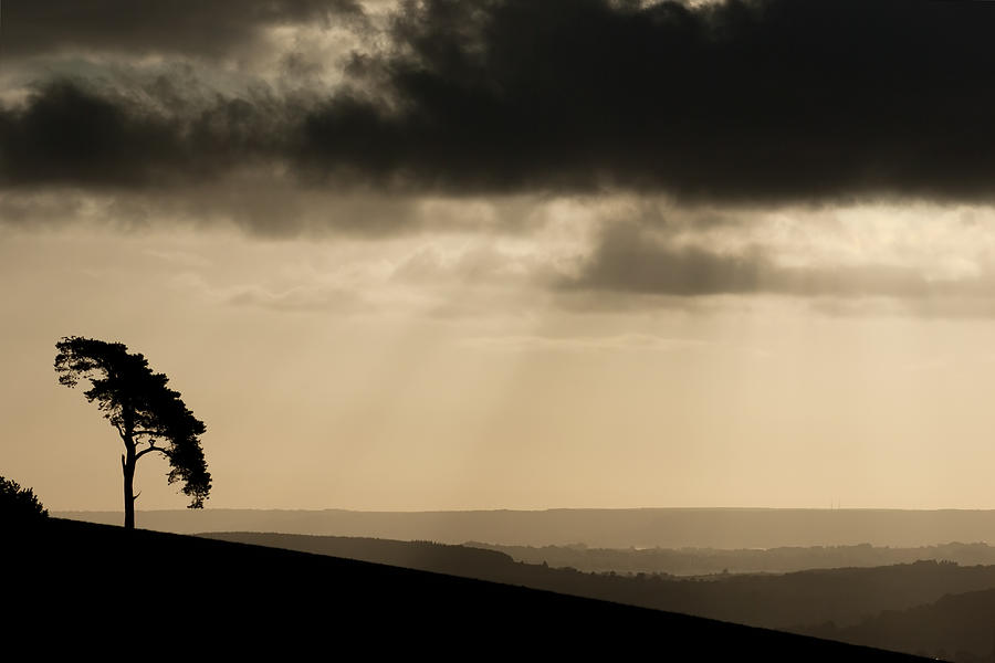 Raddon hilltop at dawn Photograph by Pete Hemington