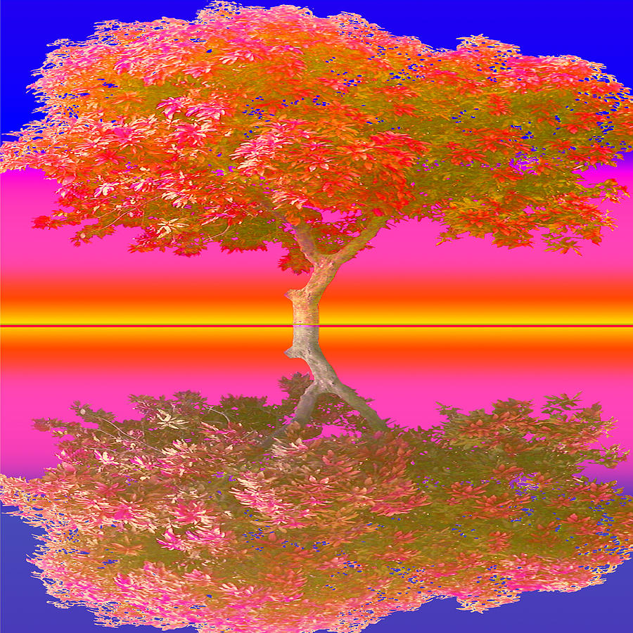 Sunset Tree Digital Art by Amelia Carrie
