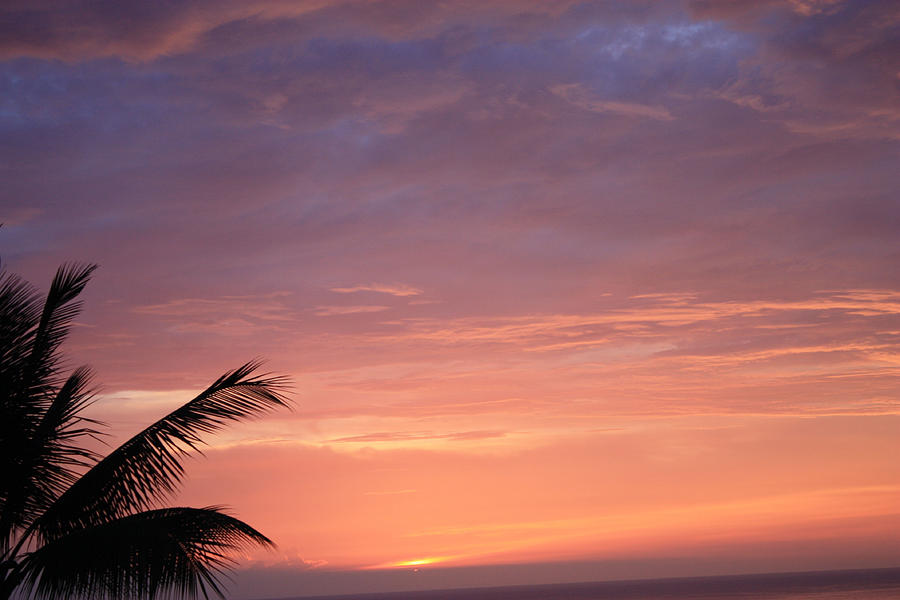 Radiant Sunset Photograph by Karen Nicholson