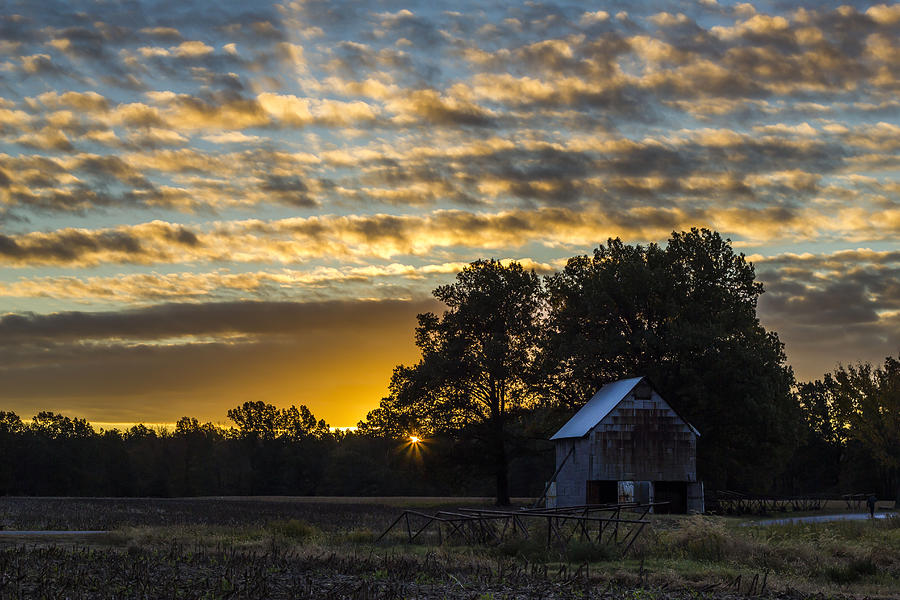 Farm Photograph - Radiating Sunrise by Amber Kresge
