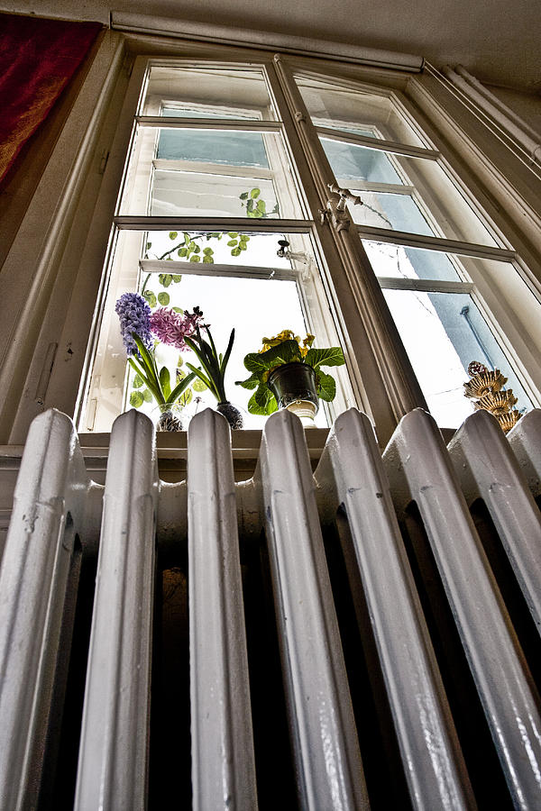 Radiator and Flowers Photograph by Sonny Marcyan