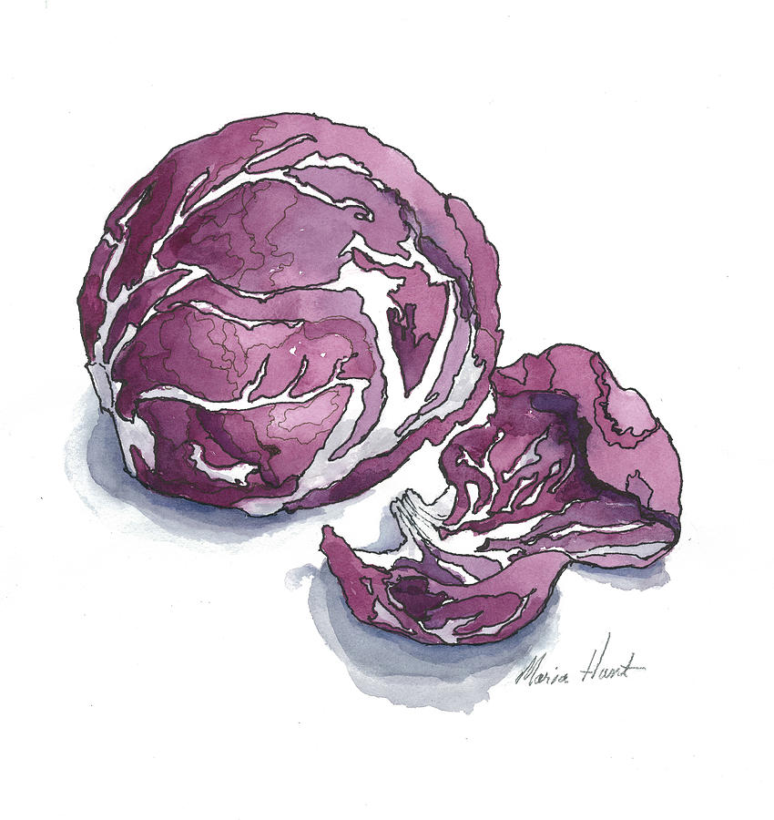  Refined Radicchio  Painting by Maria Hunt