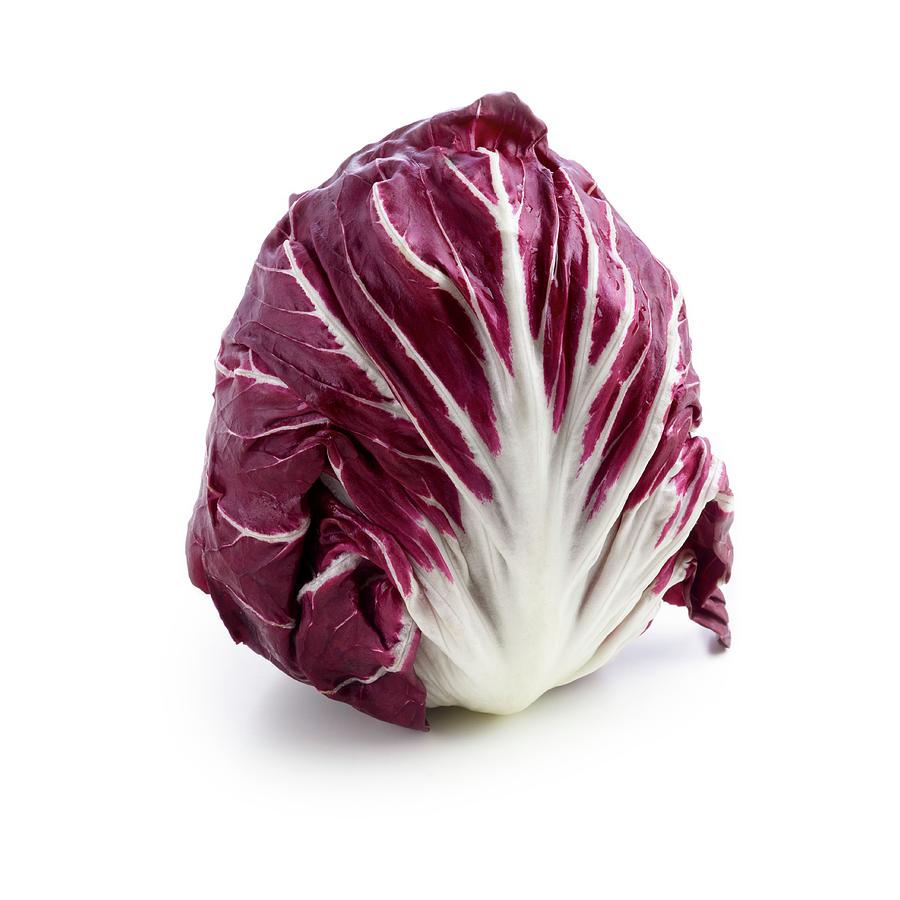 Radicchio Photograph by Science Photo Library
