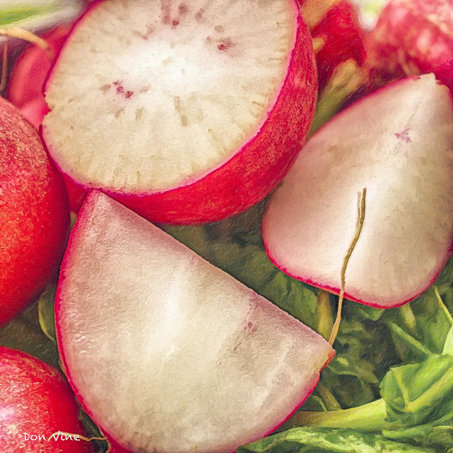 Radish Halved and Quartered  Photograph by Don Vine