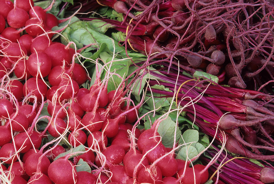 Radishes and Beets Photograph by Harold E McCray