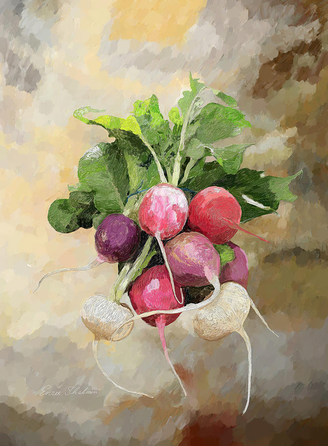 Radishes Painting by Portraits By NC