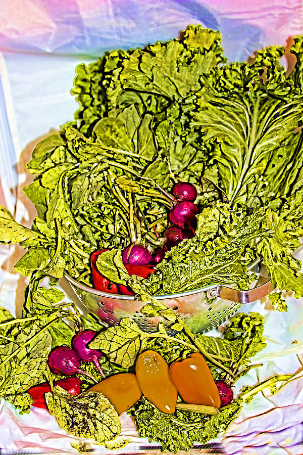 Radishes Greens and Peppers Photograph by Cathy Anderson