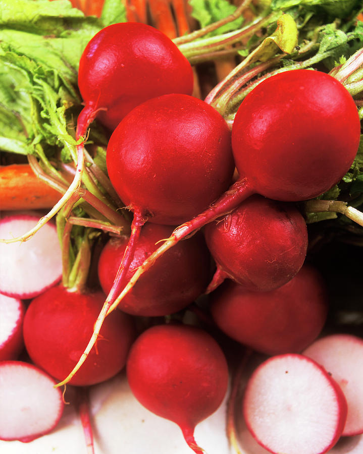Radishes Photograph by Ray Lacey/science Photo Library