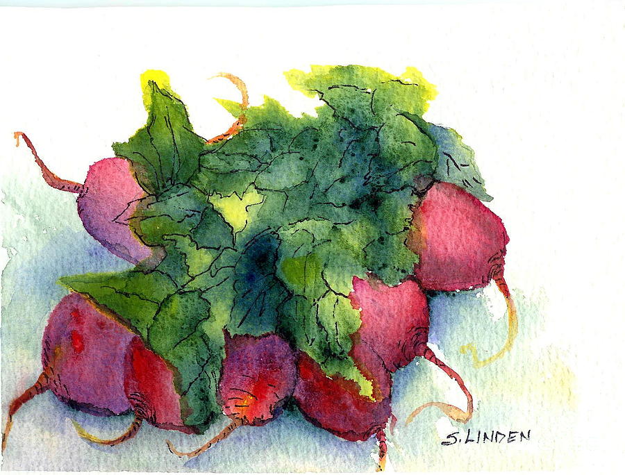 Radishes Painting by Sandy Linden