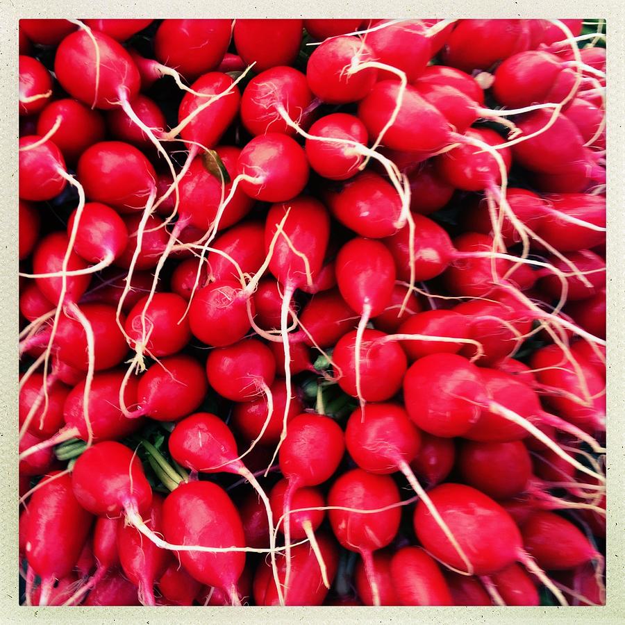 Radishes With Long White Roots Photograph by Danielle Donders