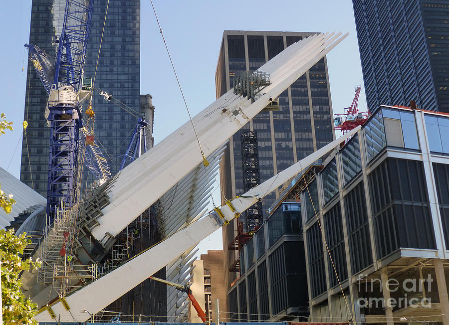 Rafter Raised on West side of the Oculus Photograph by Steven Spak