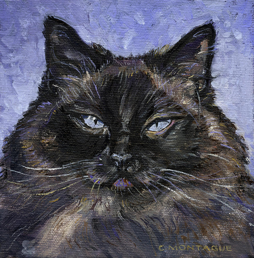 Ragdoll Cat Portrait Little Portrait painting Series Painting by