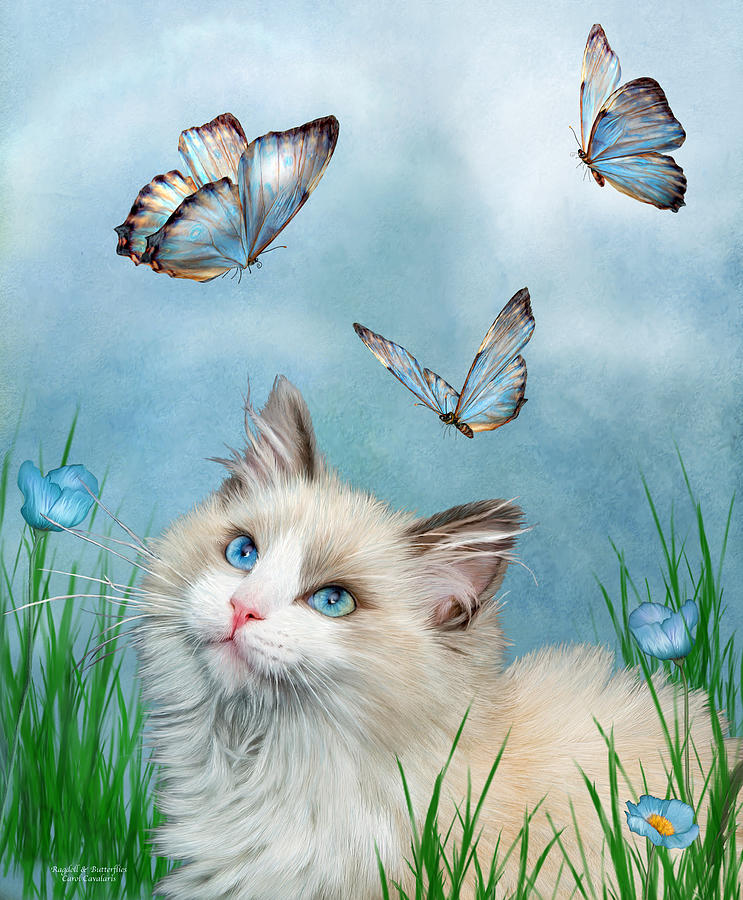 Kitty Mixed Media - Ragdoll Kitty And Butterflies by Carol Cavalaris