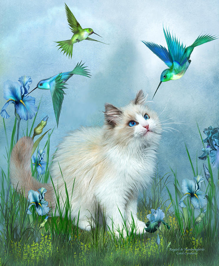 Cat Mixed Media - Ragdoll Kitty And Hummingbirds by Carol Cavalaris