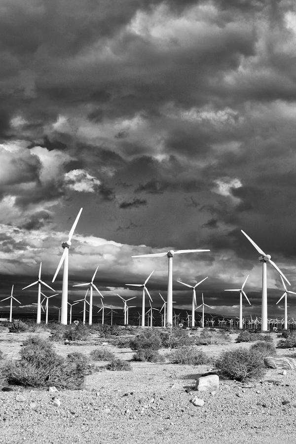 RAGE OF THE WIND Palm Springs CA Photograph by William Dey