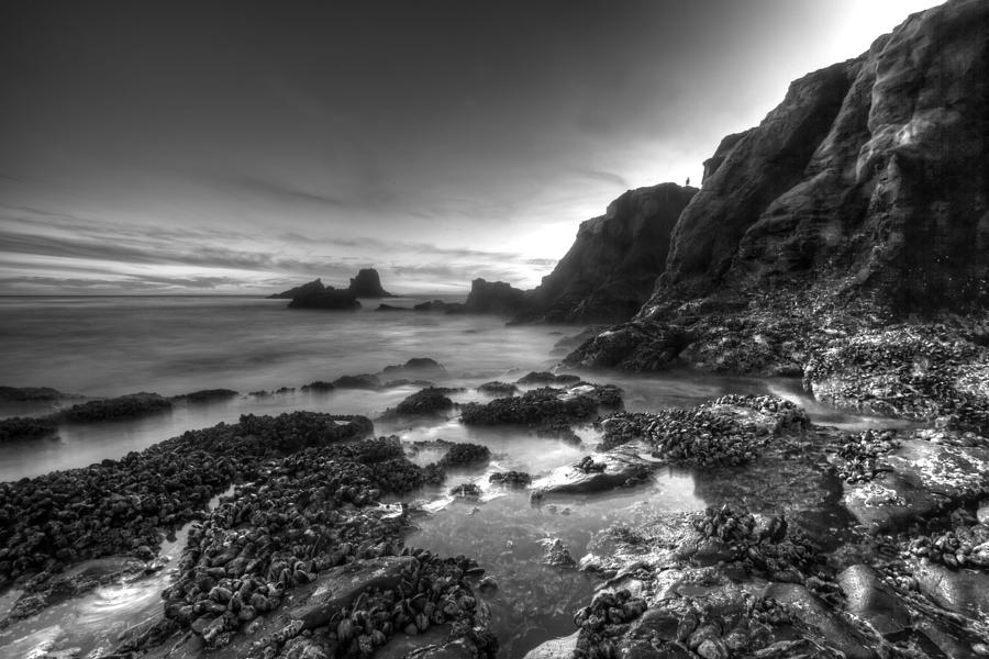 Ragged Coast Photograph by Cliff Wassmann