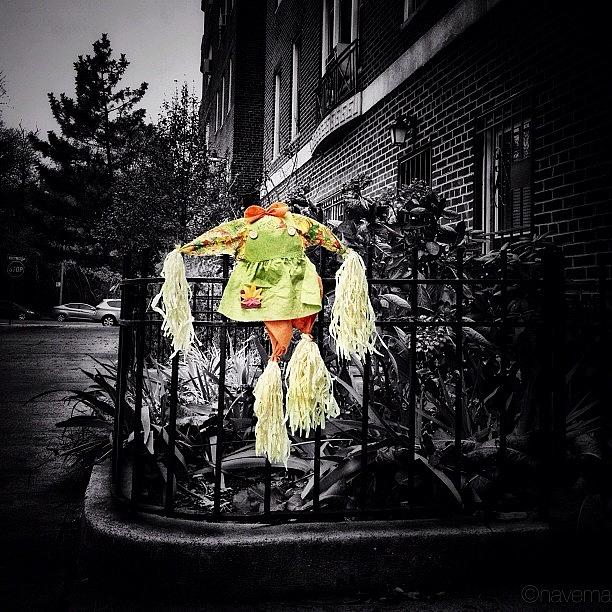 Blackandwhite Photograph - Raggedy Ann Lost Her Head by Natasha Marco Blackandwhite Photograph - Raggedy Ann Lost Her Head by Natasha Marco