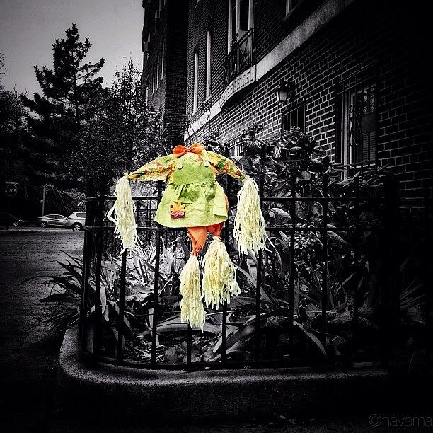 Fall Photograph - Raggedy Ann Lost Her Head by Natasha Marco