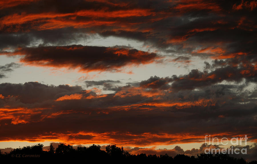 Raging Sunset Photograph by Carol Lynn Coronios