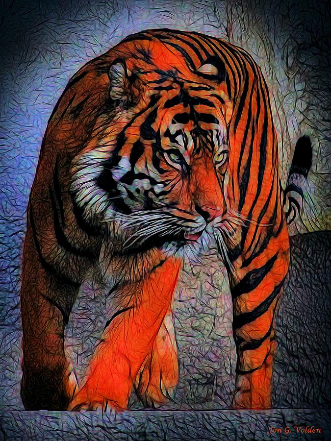 Raging Tiger Photograph by Jon Volden