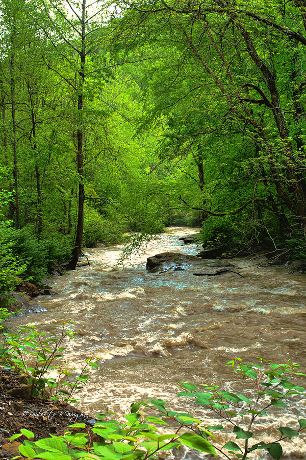 Raging Waters - West Virginia Backroad Photograph by Paulette B Wright