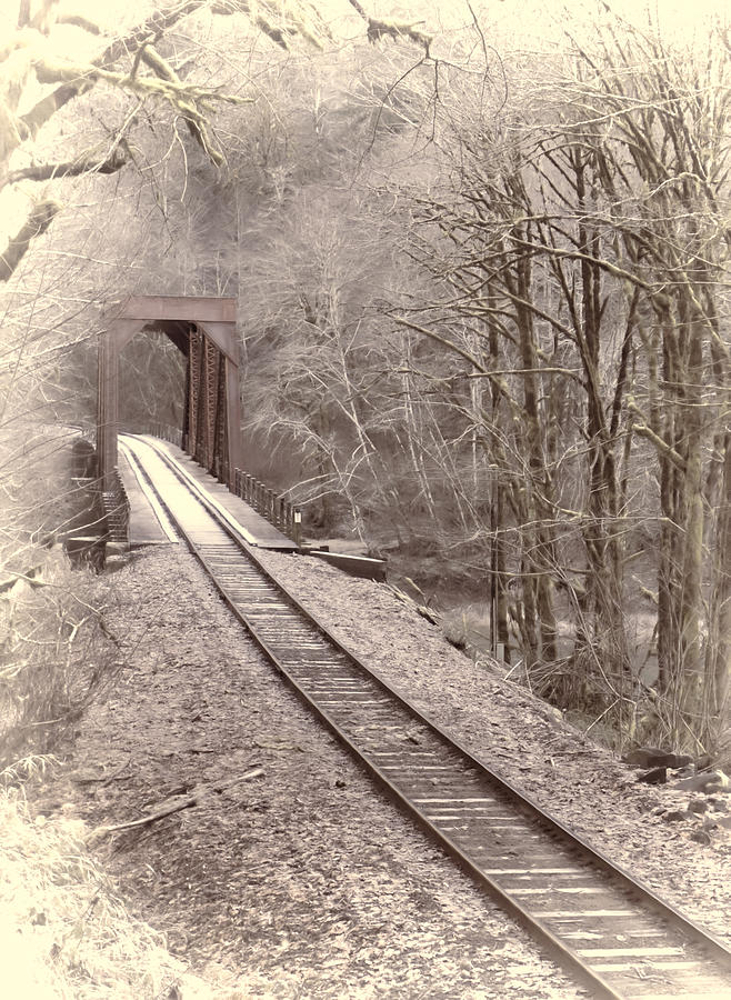 Rail Bridge in the Woods  Photograph by HW Kateley