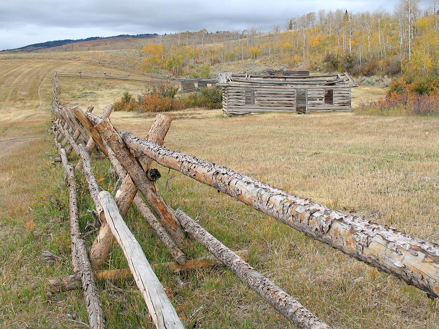 Rail fence and cabin ruin Grand Teton NP Wyoming Photograph by Toni and Rene Maggio