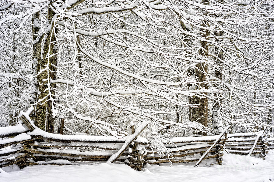 Rail Fence And Snow Photograph