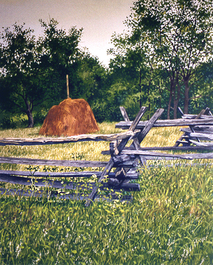 Rail Fence Painting by Tom Wooldridge