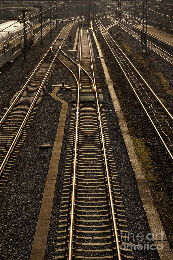 Rail Road Tracks vertical Photograph by Inge Riis McDonald
