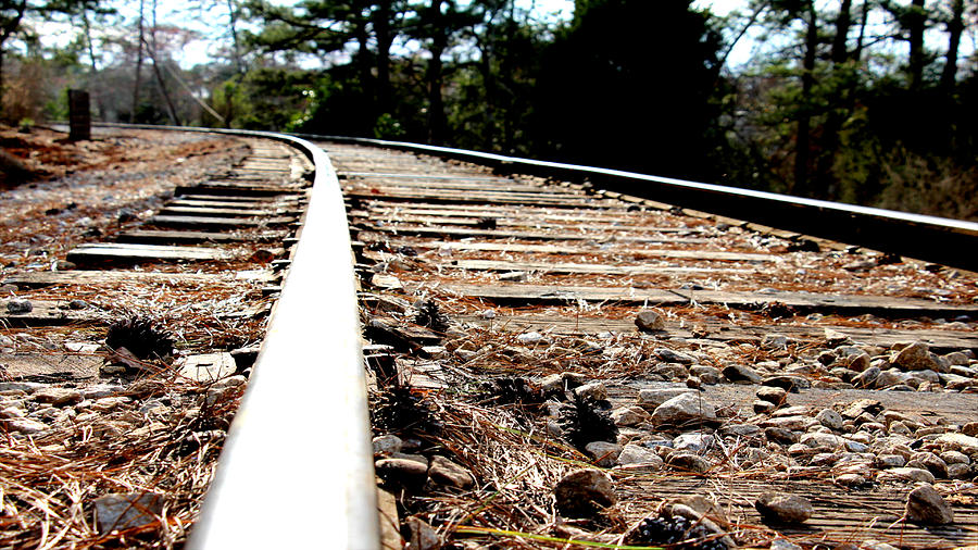 Rail Photograph by Shawn MacMeekin