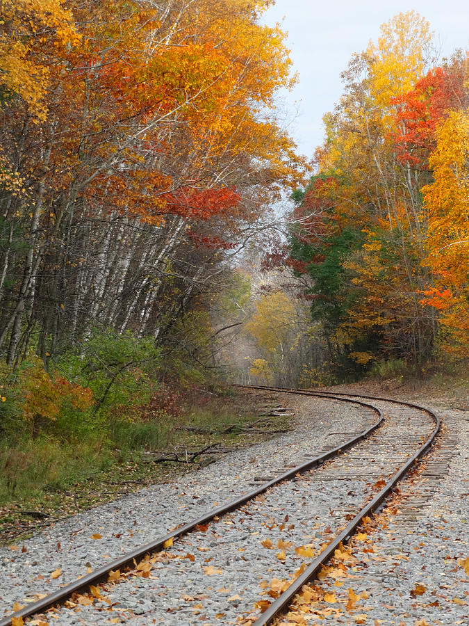 Rail Through the Colors Photograph by David T Wilkinson