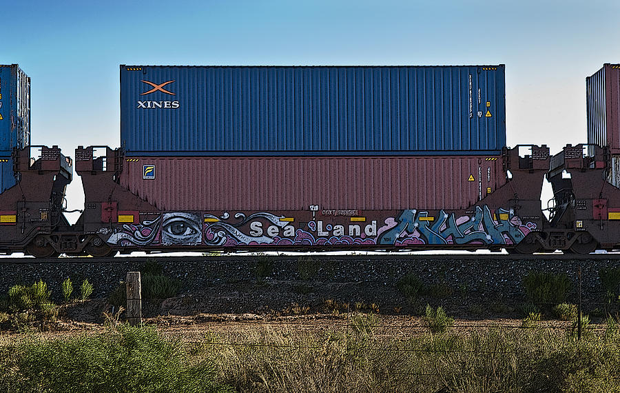 Railcar Graffiti Photograph by Murray Bloom