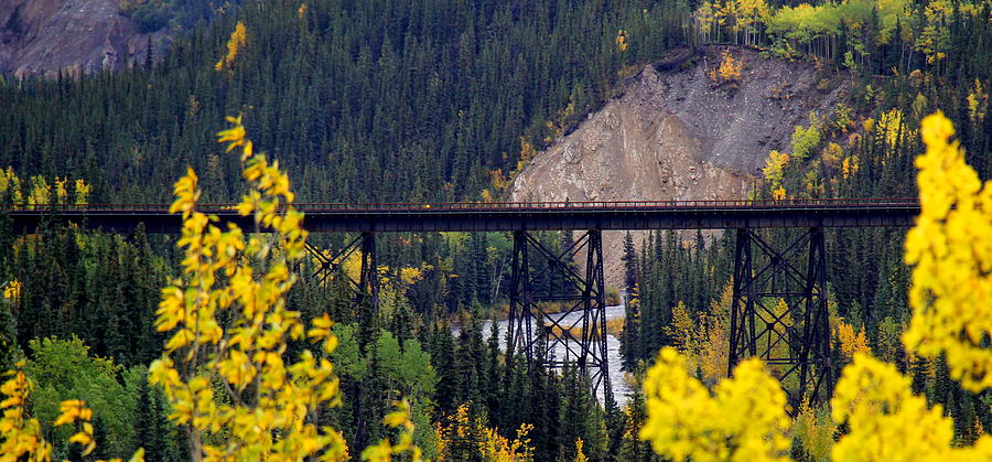 Railroad Bridge At Denali National Park Photograph By Shaleen Holmes ...