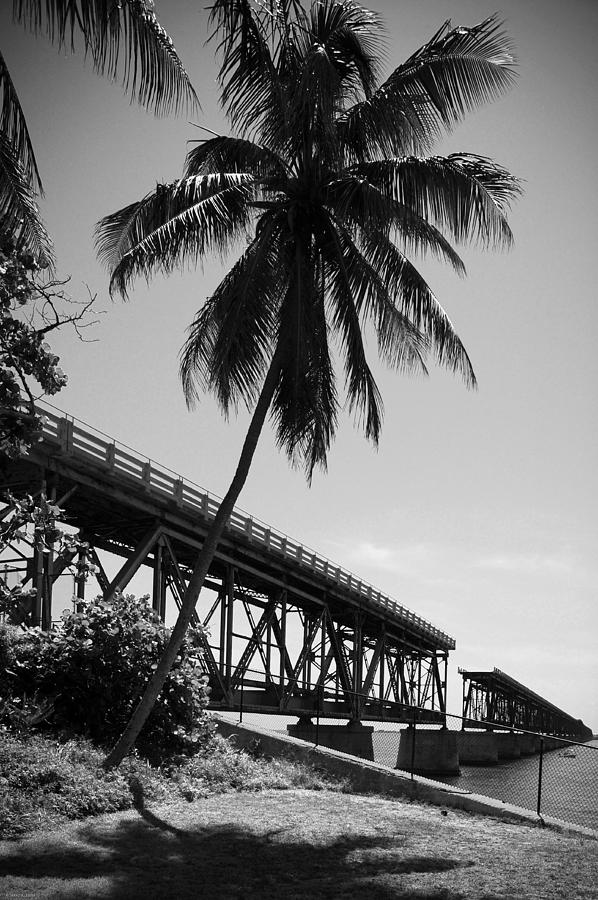 Bridge Photograph - Railroad Bridge Florida by Robert Klemm