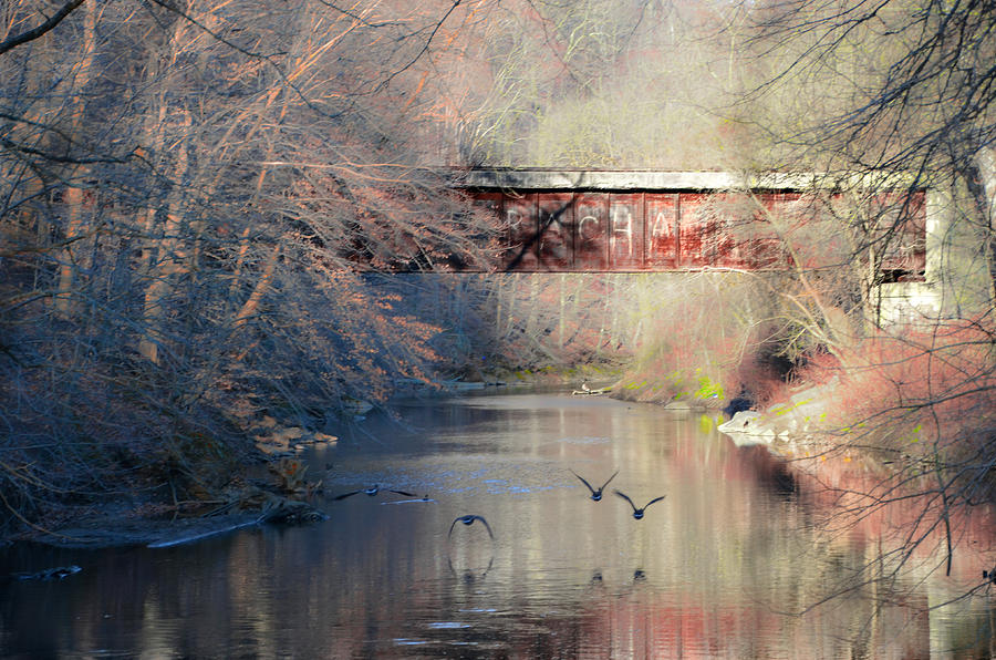 Duck Photograph - Railroad Bridge over Chester Creek by Bill Cannon