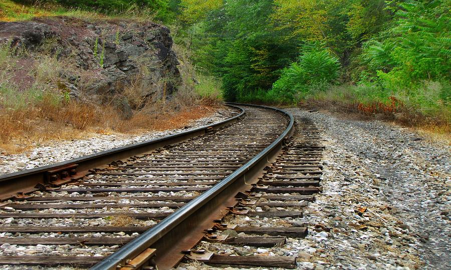 Railroad Tracks 8851  Photograph by David Dehner