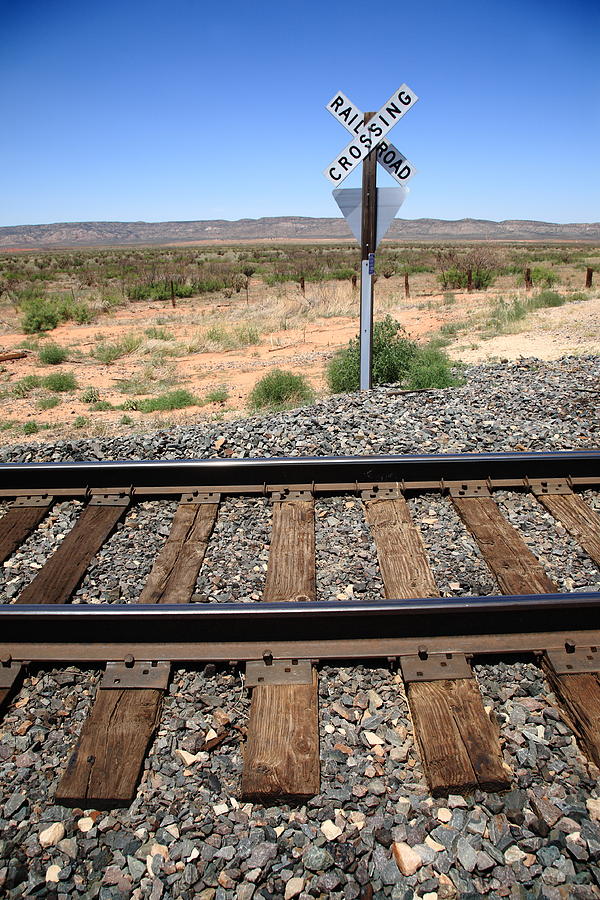 Railroad Tracks and Crossing Photograph by Frank Romeo