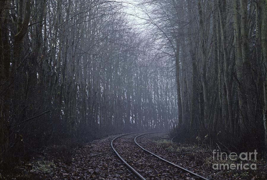Railroad tracks Photograph by Jim Corwin