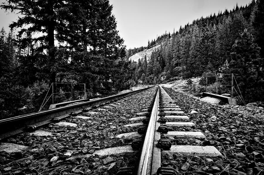 Railroad Tracks  Photograph by Maria Coulson