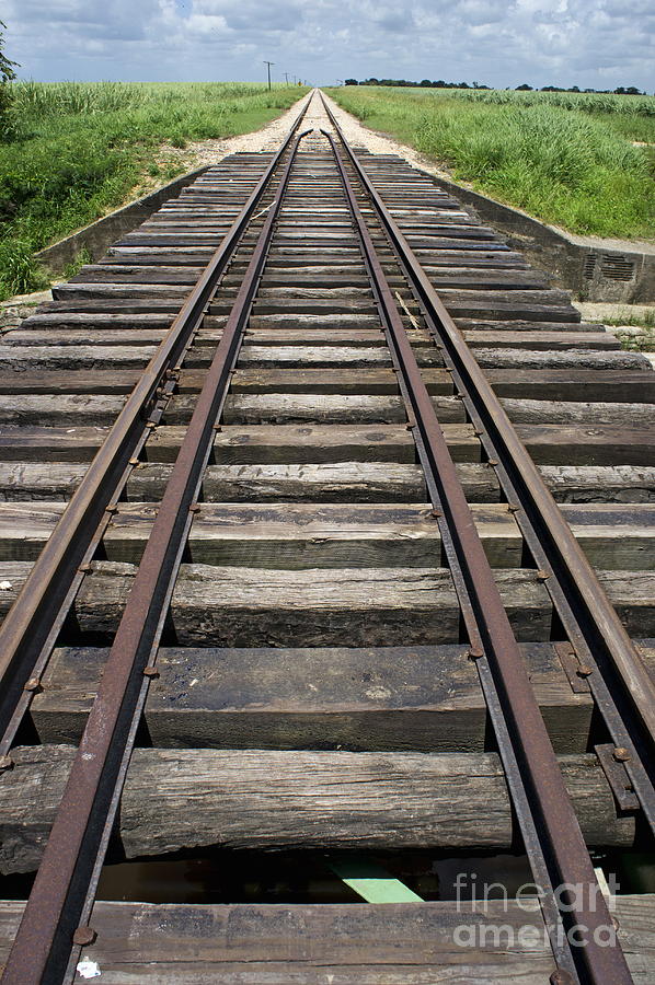 Railroad tracks Photograph by Sami Sarkis Photography Railroad tracks Photograph by Sami Sarkis Photography
