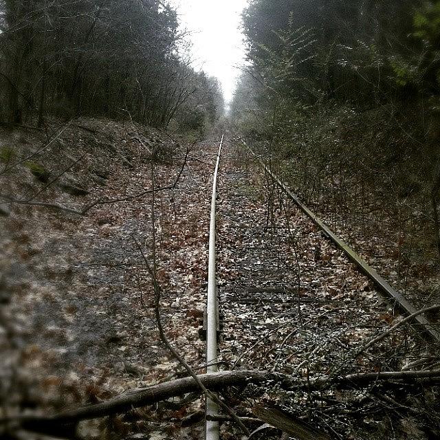 Nature Photograph - Railways by Jeremiah Williams