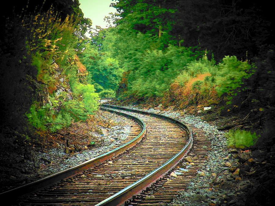 Rails Photograph by Joyce Kimble Smith