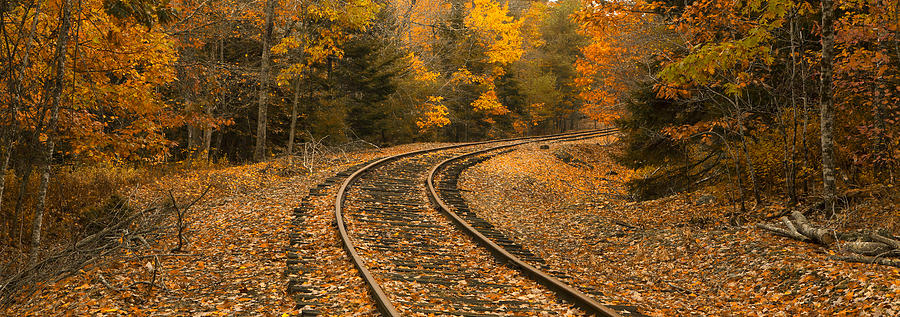 Rails to Autumn Photograph by Patrick Downey
