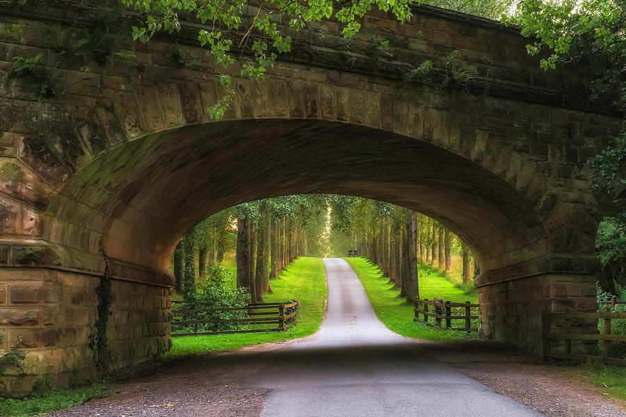 Architecture Photograph - Railway Bridge Leading To Tree Lined by Verity E. Milligan