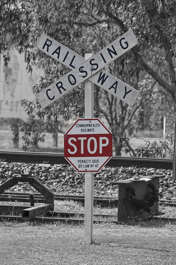 Railway Crossing Photograph by Douglas Barnard