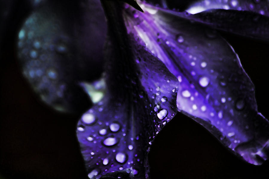 Rain Abstract Photograph